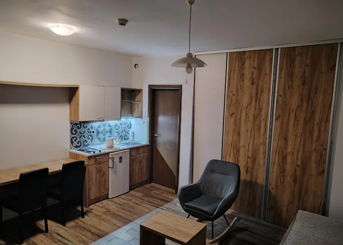 Centar Novi Sad-Apartman No 1