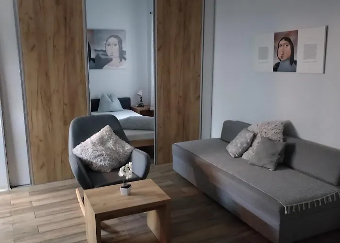 Centar Novi Sad-Apartman No 1