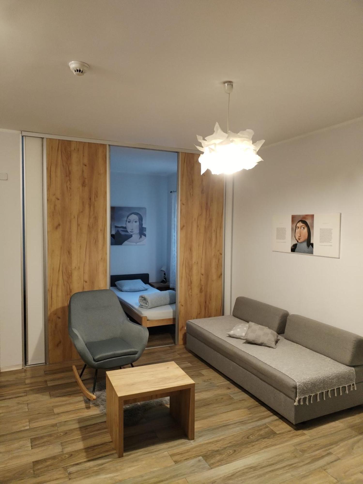Centar Novi Sad-apartman No 1 Apartment *